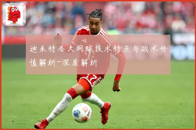 迪米特洛夫网球技术特点与战术价值解析-深度解析