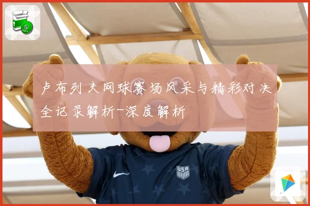 卢布列夫网球赛场风采与精彩对决全记录解析-深度解析