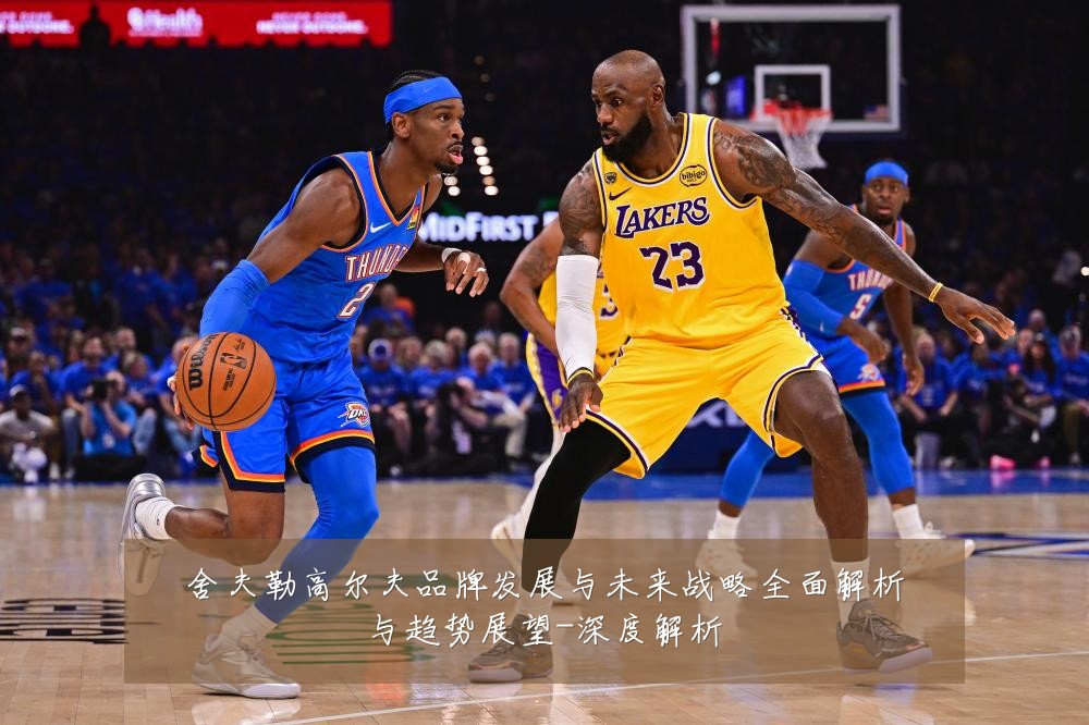 舍夫勒高尔夫品牌发展与未来战略全面解析与趋势展望-深度解析